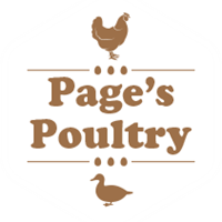 Портфолио DIXON HUNT