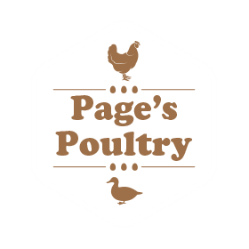 Hatching Eggs: Pagespoultry